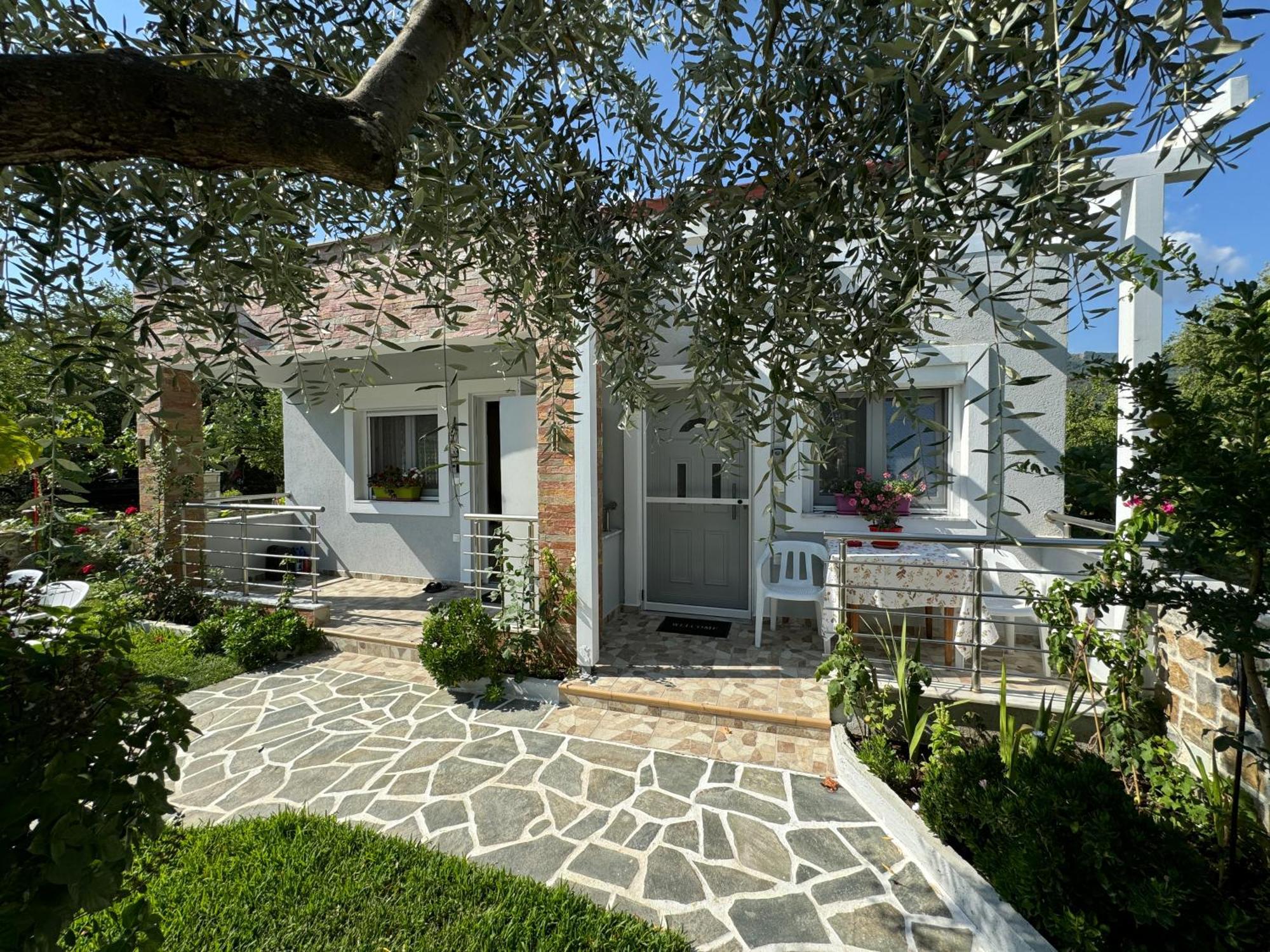 Violeta Apartments Thasos Extérieur photo